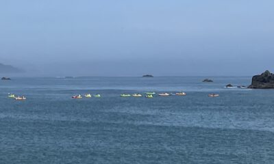 今日の海