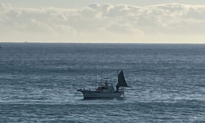 今朝のオルビス前の海です！