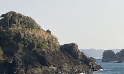 今朝のオルビス前の海