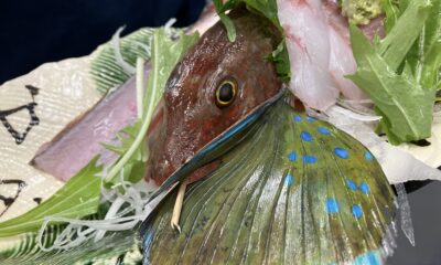 竹麦魚/ほうぼう/海の孔雀🦚/オーベルジュ/千葉/鴨川/料理の美味しい宿