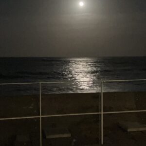月夜/月光/唯一無二/オルビスだからこそ／オーベルジュ/千葉/鴨川