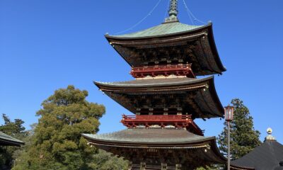 常連様に会いに①/成田/オーベルジュ/千葉/鴨川