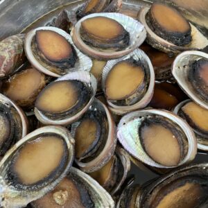 地貝/とこぶし/煮上がりました/房総の味/オーベルジュ/千葉/鴨川/料理の美味しい宿
