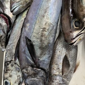 地魚/エンザラ/なめろう/絶品/オーベルジュ/千葉/鴨川/料理の美味しい宿