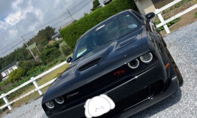 本日の夢の車/🇺🇸アメ車/DODGE/チャレンジャー/オーベルジュ/千葉/鴨川/料理の美味しい宿