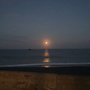 月夜/月の道/月見ディナー/オーベルジュ/千葉/鴨川/料理の美味しい宿