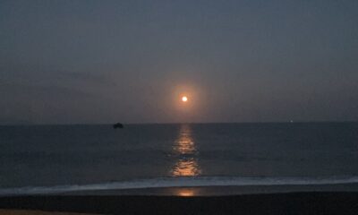 月夜/月の道/月見ディナー/オーベルジュ/千葉/鴨川/料理の美味しい宿