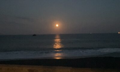 月夜/ディナーのもう一品/月見ディナー/中秋の名月にいらっしゃいませんか?/オーベルジュ/千葉/鴨川/料理の美味しい宿