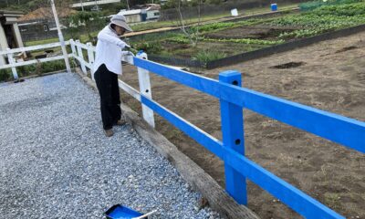 オルビスメンテナンス日/仕事の合間に/今日はペンキ屋さん/オーベルジュ/千葉/鴨川/料理の美味しい宿