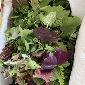 naeme farmers standさんへ行ってきました/ハーブ/サラダ/エディブルフラワー/カフェ/