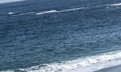 2026年/2月1日/今日のオルビス前の/海と空/オーベルジュ/千葉/鴨川