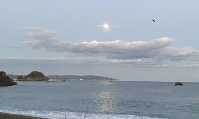 14夜/ディナー始まります/月見ディナー/月夜/月の道/オーベルジュ/千葉/鴨川