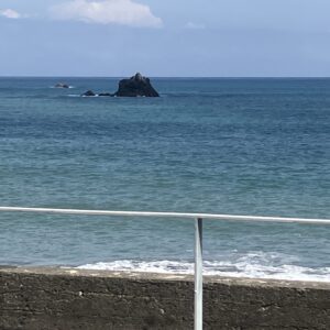 2026年3月9日/月曜日/本日のオルビス前の海と空/風が冷たい/春までもう少し/岩場にはひじきが芽吹いています/オーベルジュ/千葉/鴨川/料理の美味しい宿