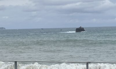 2026年3月18日/水曜日/本日のオルビス前の海と空/どんより曇り空/波は若干静かに/オーベルジュ/千葉/鴨川/料理の美味しい宿