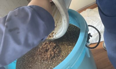 手造り醤油/天地返し/その③④⑤/熟成/発酵/無添加/オーベルジュ/千葉/鴨川/料理の美味しい宿