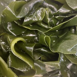 春の風物詩/新ワカメ/新ヒジキ/太海産/春がやって来ました/オーベルジュ/千葉/鴨川/料理の美味しい宿