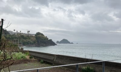 2026年4月4日/土曜日/昨夜の見事な月夜/今日はまさかの雨/オーベルジュ/千葉/鴨川