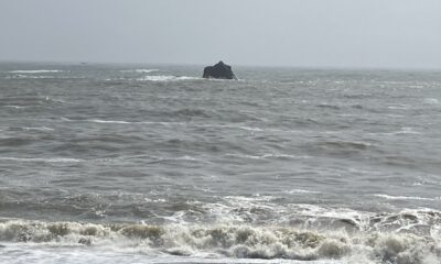 2026年4月5日/日曜日/曇り/本日のオルビス前の海と空/オーベルジュ/千葉/鴨川/料理の美味しい宿