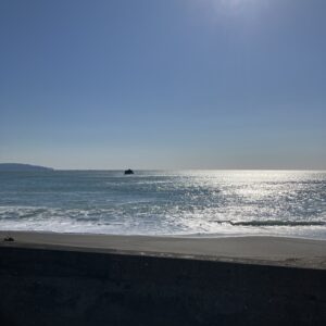 2026年4月8日/水曜日/晴/気持ち良い朝です/オーベルジュ/千葉/鴨川/料理の美味しい宿