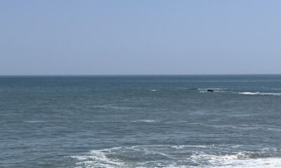 2026年4月11日/土曜日/本日のオルビス前の海と空/夏が来たー/オーベルジュ/千葉/鴨川/料理の美味しい宿