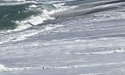 2026年4月17日/金曜日/今日のオルビス前の海と空/風が冷たい/波しぶきが来たー/オーベルジュ/千葉/鴨川/料理の美味しい宿