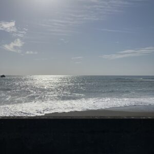 2026年4月19日/日曜日/今朝のオルビス前の海/今日は手造り醤油搾りイベントパート2/オーベルジュ/千葉/鴨川/料理の美味しい宿