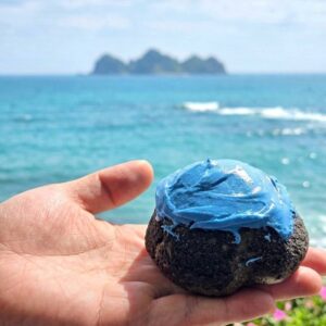 5月1日/11時より/オルビスブランド!オルビスカラー/青いシュークリーム🟦発売開始/世にも奇妙なAO/オーベルジュ/千葉/鴨川/料理の美味しい宿