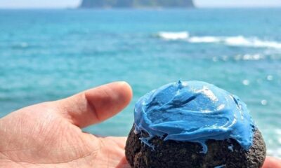 5月1日/11時より/オルビスブランド!オルビスカラー/青いシュークリーム🟦発売開始/世にも奇妙なAO/オーベルジュ/千葉/鴨川/料理の美味しい宿