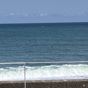 2026年4月28日/火曜日/晴/今日のオルビス前の海と空/風が強くパラソルはお休み/オーベルジュ/千葉/鴨川/料理の美味しい宿