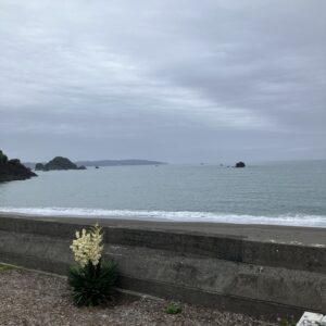 2026年5月6日/遅くなりましたがオルビス前の海と空/オーベルジュ/千葉/鴨川/料理の美味しい宿