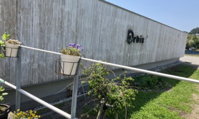 オルビス塗装中/壁洗浄/ご迷惑をおかけいたします/オーベルジュ/千葉/鴨川/又綺麗に生まれ変わります