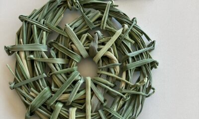 予告/ポン菓子や/三奈子さんの手作りコースターのワークショップ/マコモ茸/自然と触れ合う/ランチ会/オーベルジュ/千葉/鴨川/料理の美味しい宿