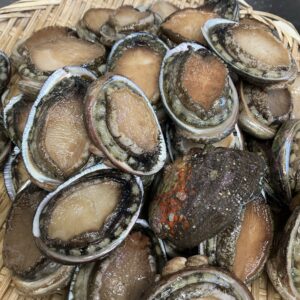 旬の地貝/とこぶし/入荷しました/絶品/ソウルフード/オーベルジュ/千葉/鴨川/料理の美味しい宿