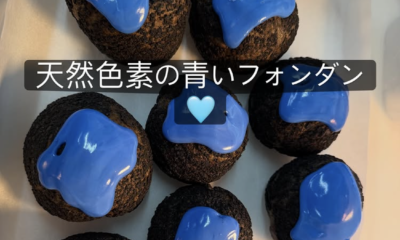 今週は月曜日半休いたします/シュークリームは月、火おやすみです/水、木曜日のご宿泊可能です/オーベルジュ/千葉/鴨川/料理の美味しい宿