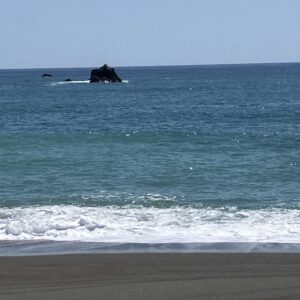 2026年5月30日/土曜日/今朝のオルビス前の海と空/快晴/さざなみ/穏やかな波音/爽やかな海風/オーベルジュ/千葉/鴨川/料理の美味しい宿
