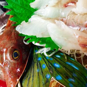 海の孔雀🦚/ほうぼう/美しいエラを持つ魚/大将厳選/お造り/オーベルジュ/千葉/鴨川/料理の美味しい宿
