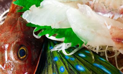 海の孔雀🦚/ほうぼう/美しいエラを持つ魚/大将厳選/お造り/オーベルジュ/千葉/鴨川/料理の美味しい宿