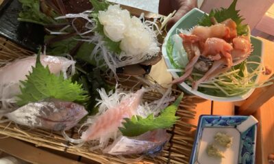 KIDS DAYのお知らせ/お子様連れ歓迎日/オーベルジュ/千葉/鴨川/料理の美味しい宿
