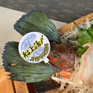 大将厳選/本日のお造り/舟盛/自家製手造り醤油/モロミ塩/オーベルジュ/千葉/鴨川/料理の美味しい宿