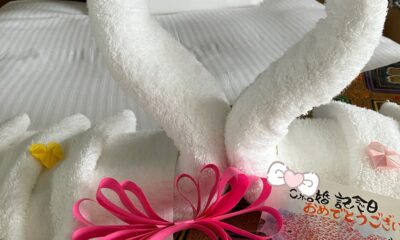 結婚記念日/ハレノヒ/おめでとう御座います㊗️/おもてなし/オーベルジュ/千葉/鴨川