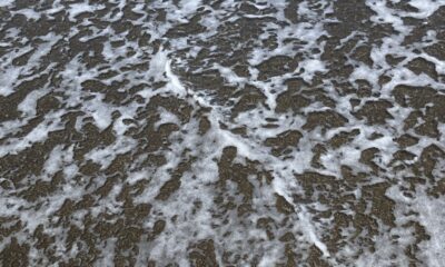 海の日③/波/海/波間で足湯ならぬ足水/アーシングしてみて/オーベルジュ/千葉/鴨川