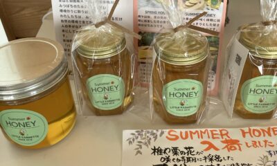 鴨川のハチミツ入荷/LITTLE FARMETTE /オーベルジュ/千葉/鴨川/料理の美味しい宿